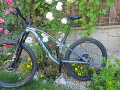 Canyon Neuron 7.0 AL 2019