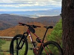 Trek Marlin 8 model 2023