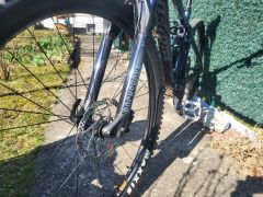 Ghost Riot Trail -->Top Stav