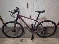 Kellys phanatic 30
