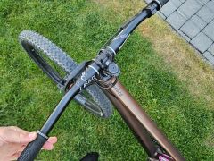 Predam dirt bike Rose the bruce 2