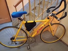 Veteráni Fort a RB na sadách Shimano