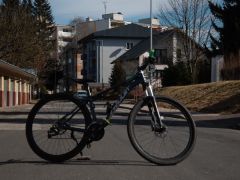 Hardtail amulet custom