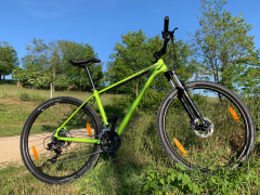 Cannondale Trail 8 2020