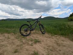 Dartmoor Hornet Pro (Custom)