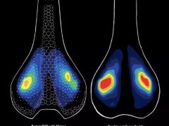 Specialized Romin Evo Pro Mirror Black 155 mm, 3D sedlo