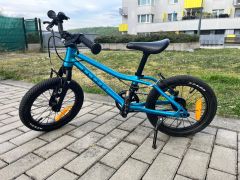 Rascal 14