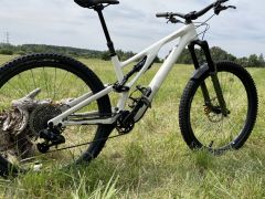 Stumpjumper EVO S4