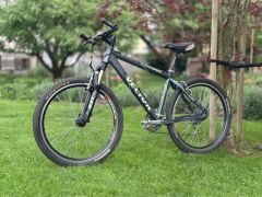 Horsky bicykel Vector v 100% stave