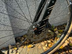 Kross Esker 6.0 2025 černá/zlatá/lesk 2x12