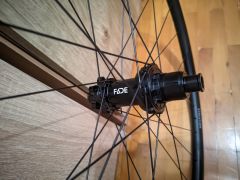 Newmen Evolution SL X.a.25 29