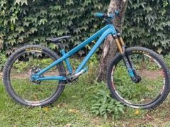 Specialized P3 custom built