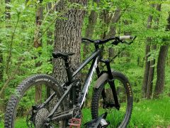 Trek remedy 8 2021