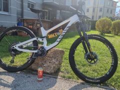 Canyon Torque FW Edition