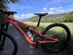 Specialized stumpjumper alloy