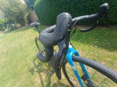Marin Gestalt X10 2022