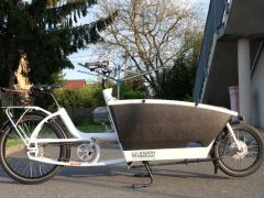 Urban Arrow family - cargobike