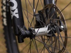 YT Decoy CF Pro 2021 29