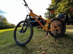 Santa Cruz Chameleon