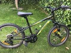 Specialized Hot Rock 20’’