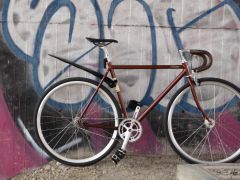 Fuji Feather