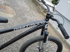 Dartmoor Two6Player PRO short