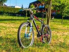 Alpina Custom 120mm hardatail SLX