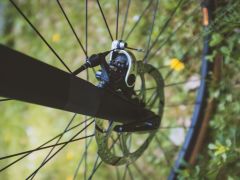 Pinnacle Arkose 2