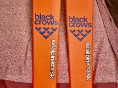 Black Crows Vastus FB