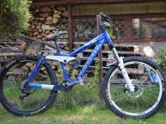 Kona stinky garbonzo 2010