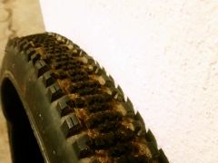 Maxxis SS