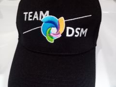 DSM siltovka