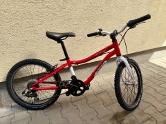 Specialized Hotrock Aluminum 20&quot;