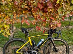 S-Works Tarmac SL 7, Sagan Edition