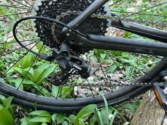 Specialized Diverge Carbon - 56cm - L