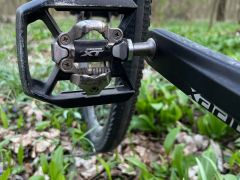 Specialized Diverge Carbon - 56cm - L