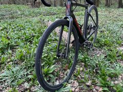 Specialized Diverge Carbon - 56cm - L