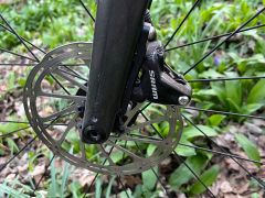 Specialized Diverge Carbon - 56cm - L