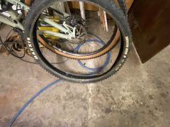 Maxxis minion dhr ll