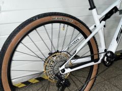 Sunn shamann (carbon)