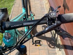 Bianchi Methanol FS 9.1