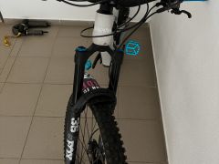 Canyon Spectral CF mulet