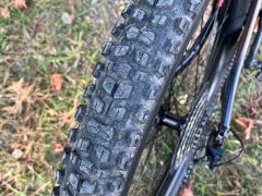 Giant Trance 29