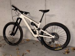 Specialized Stumpjumper EVO Expert Gloss Birch/Taupe