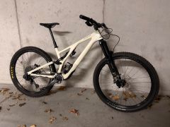 Specialized Stumpjumper EVO Expert Gloss Birch/Taupe