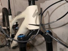 Specialized Stumpjumper EVO Expert Gloss Birch/Taupe