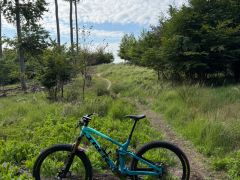 Trek Fuel EX 9.9 XTR