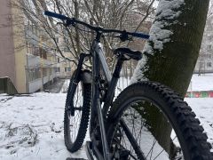 Custom Nukeproof Mega