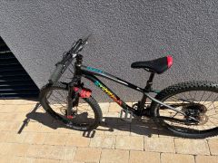 Predam 24" Orbea Laufley M10