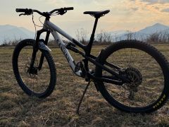 Canyon Spectral Al6 M